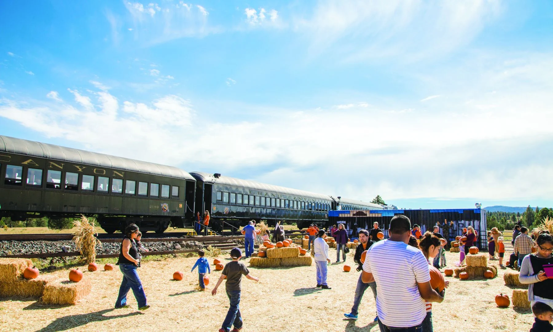 Pumpkin-Train-12-1800x1080