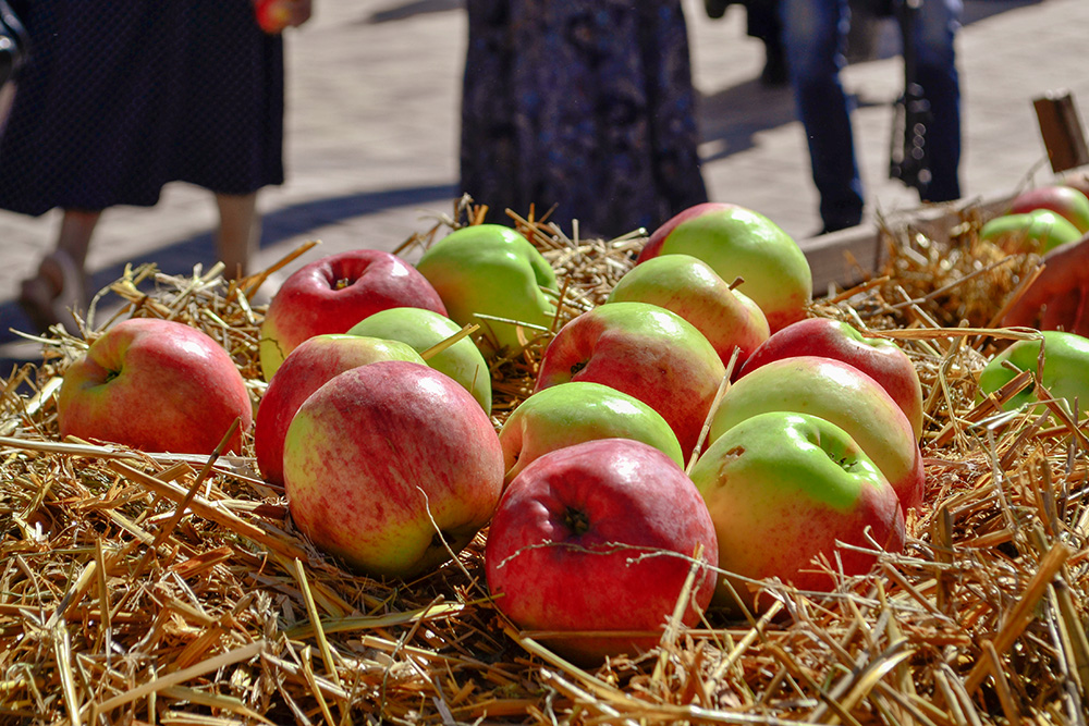 apple festival