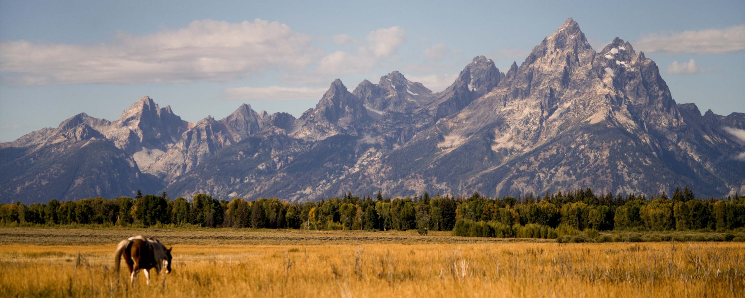 0413_Field Guide_Itinerary Imagery-01