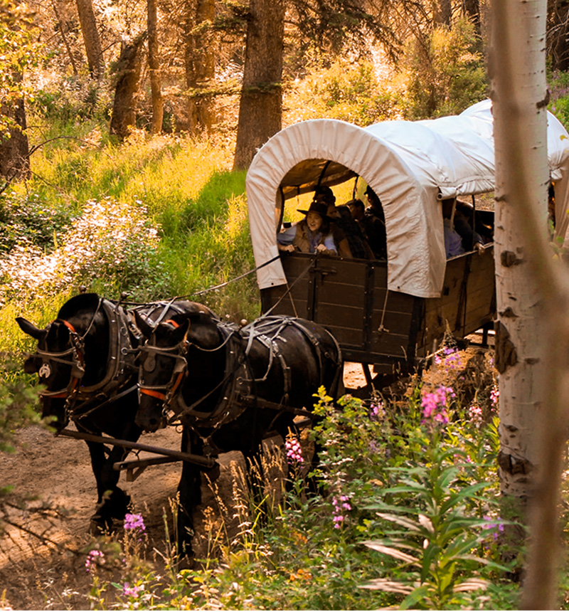 Chuckwagon Dinner