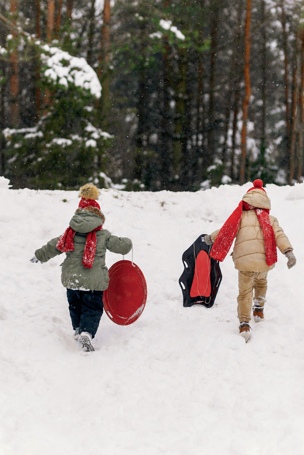 Complimentary Sled Rentals