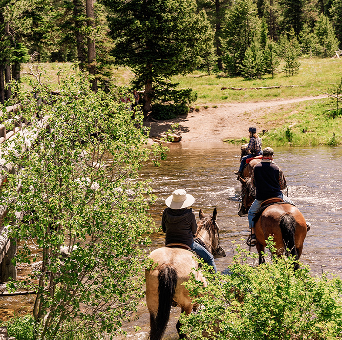 Horsebackriding