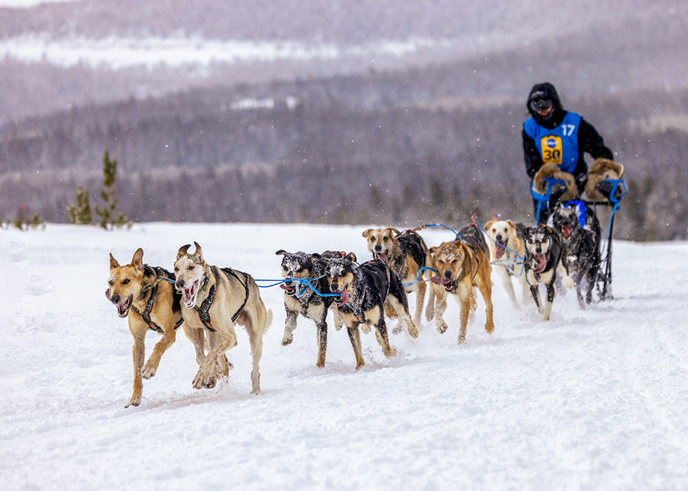 Pedigree Stage Stop Sled Dog Race