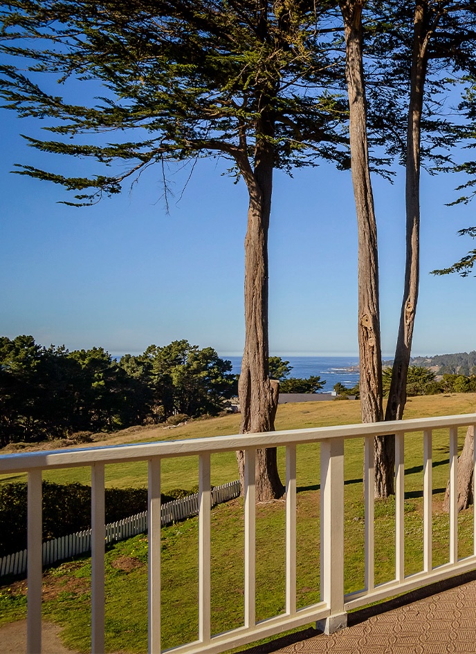 D-What to Explore-03