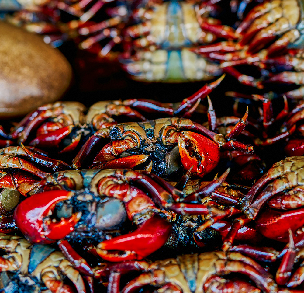 Crab