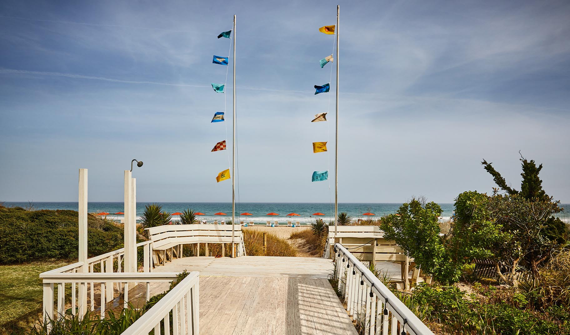 TSS Flags