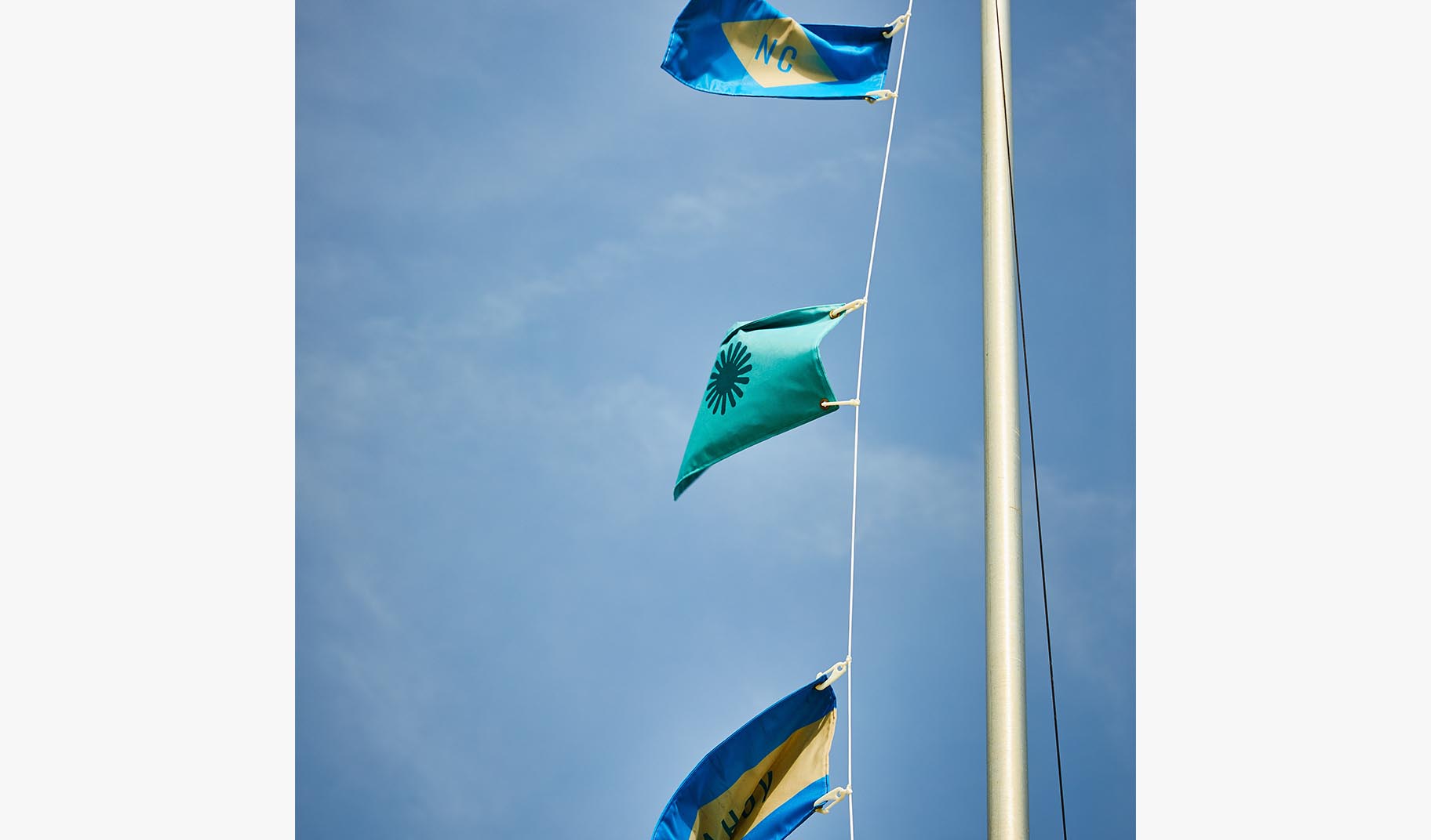 flags