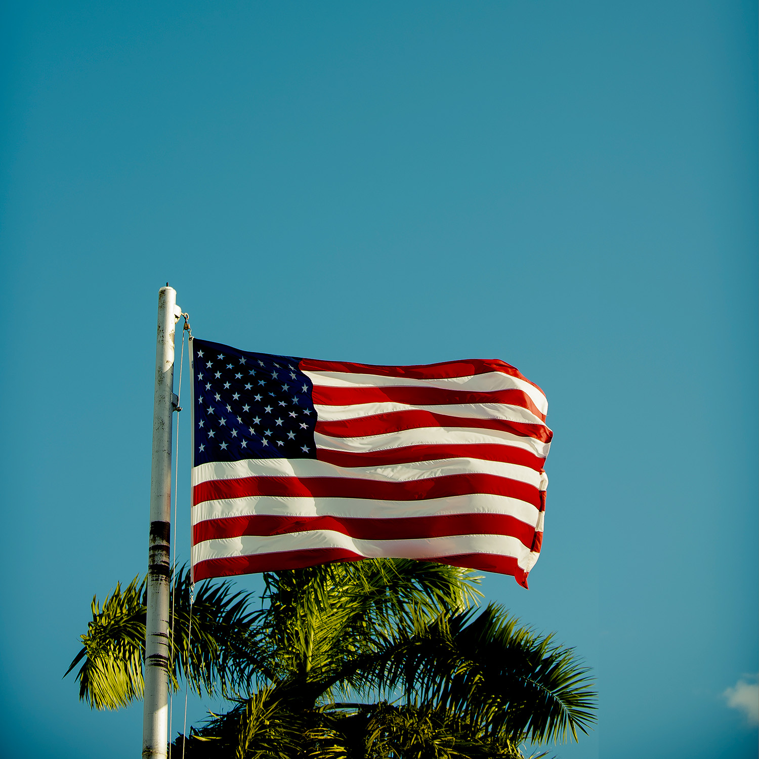 flag