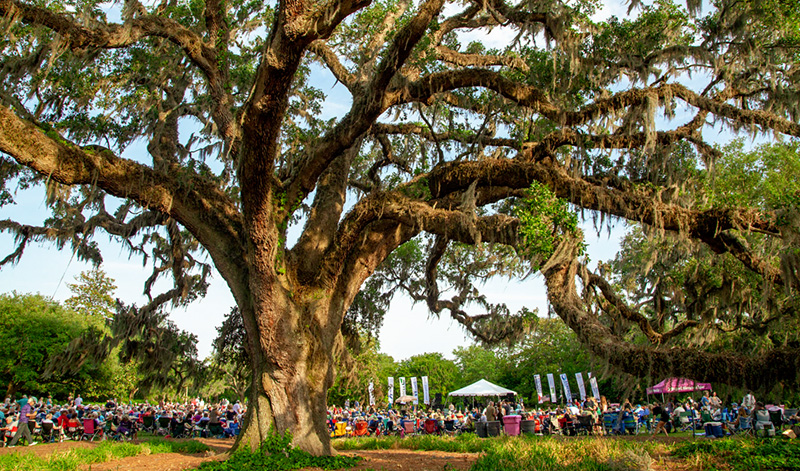 Airlie Garden's Summer Concert Series