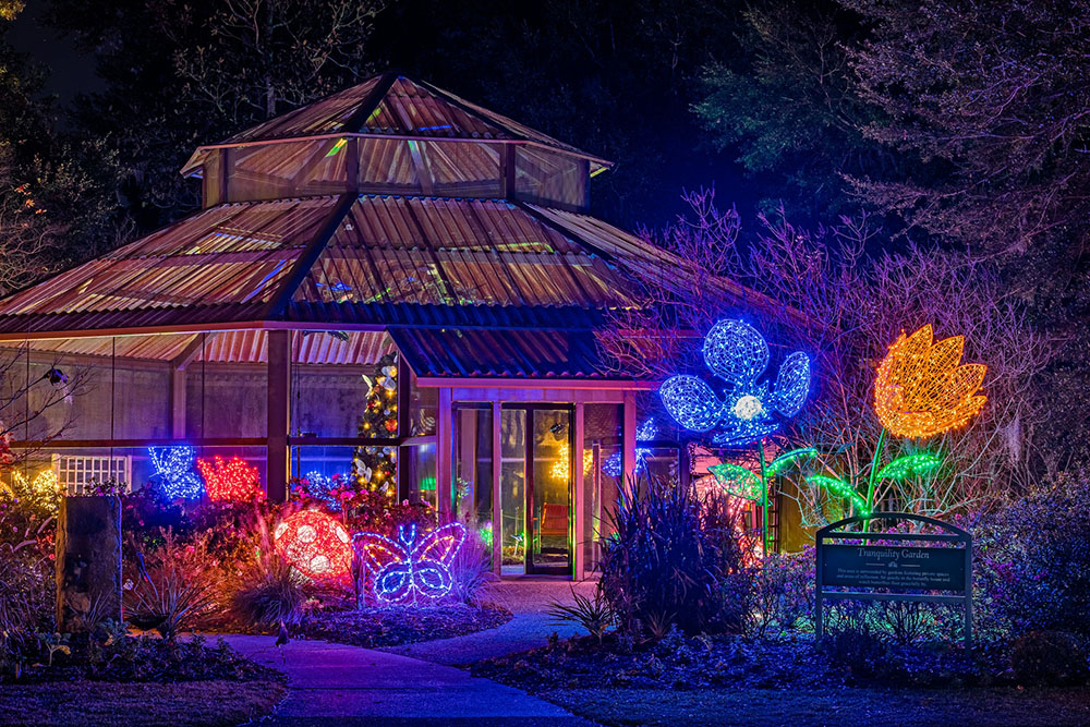 Enchanted Airlie1