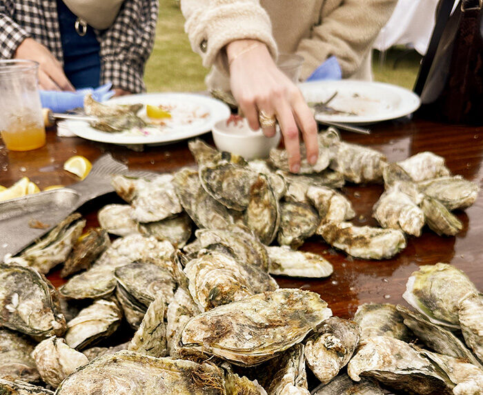 Oysters